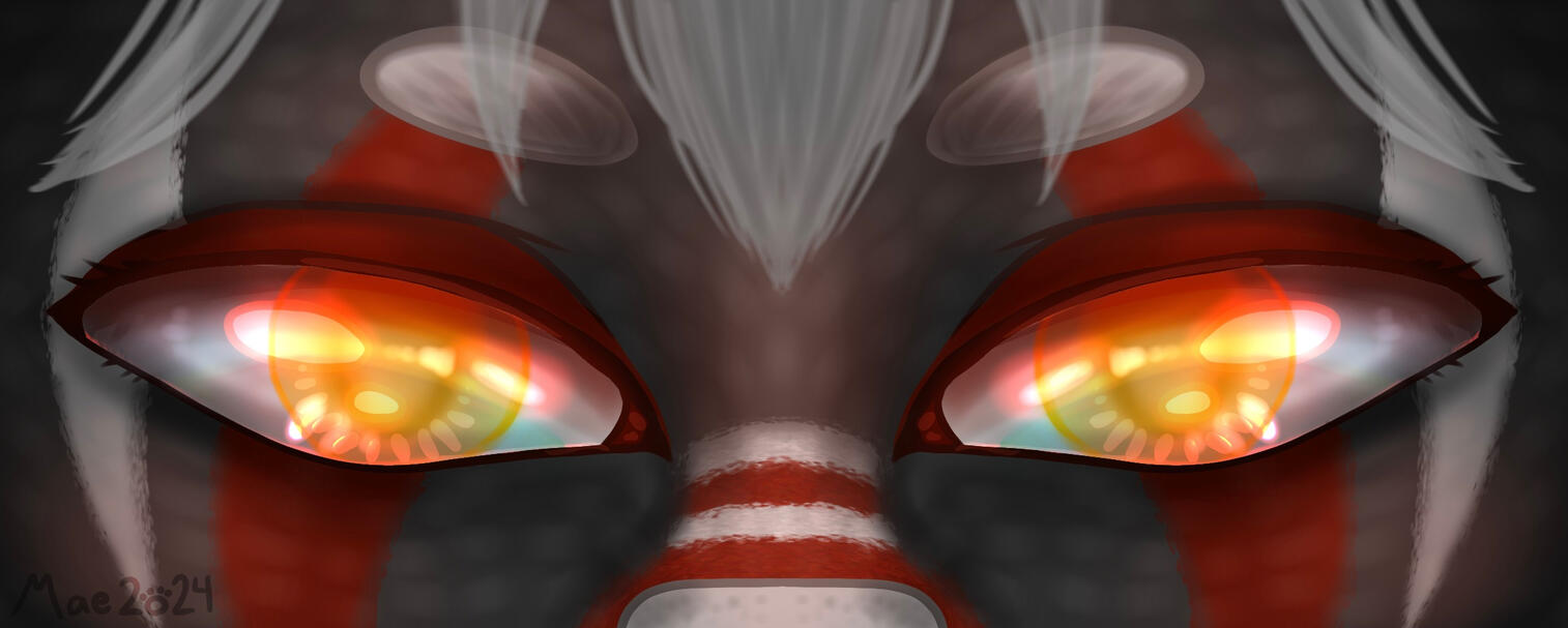 Sebastian Eye Banner