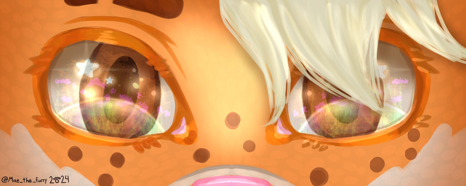 Wafflefox42 Eye Banner