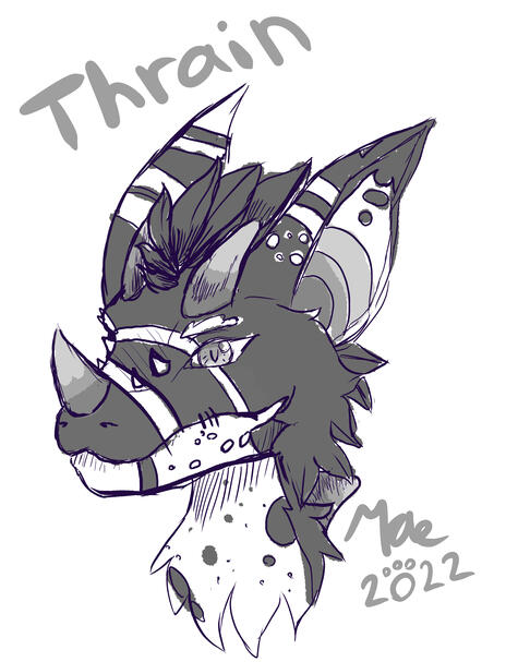 Thrain Sketch Commission