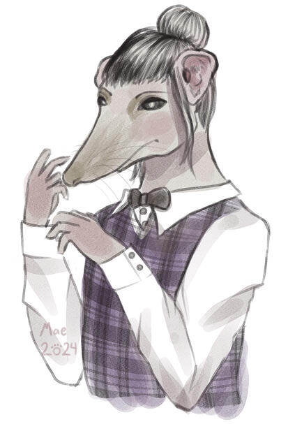 Shrew Man Colored Sketch