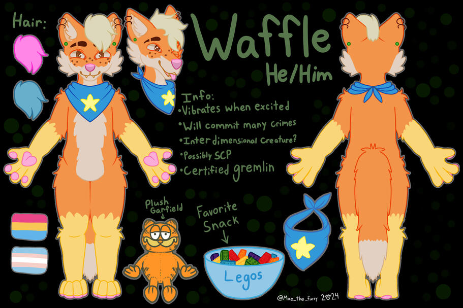 Wafflefox42 Ref Sheet