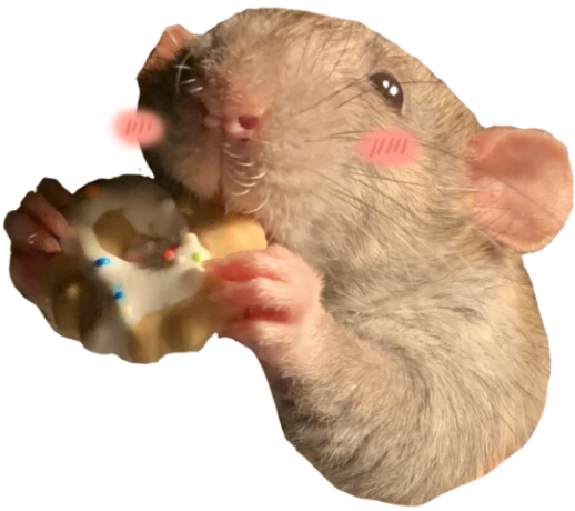 The King of Rats