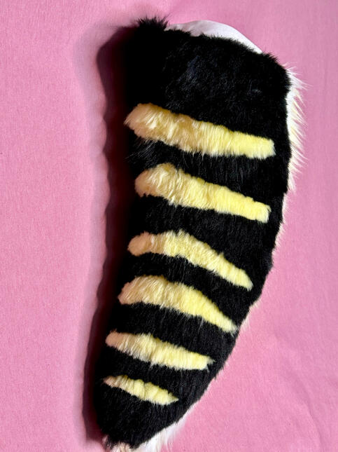 Striped Tail Striped Tail