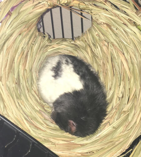 The Potato Harvest is Bountiful This Year