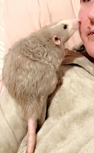 Cheek Blep
