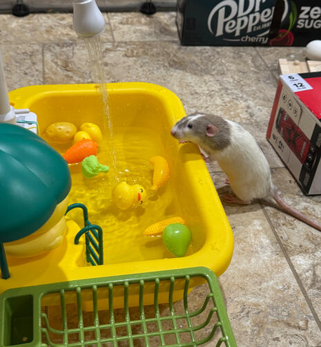 Sink Time