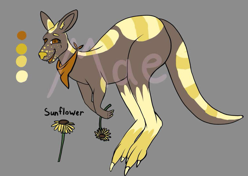 Old adopt: Sunflower Kangaroo $5