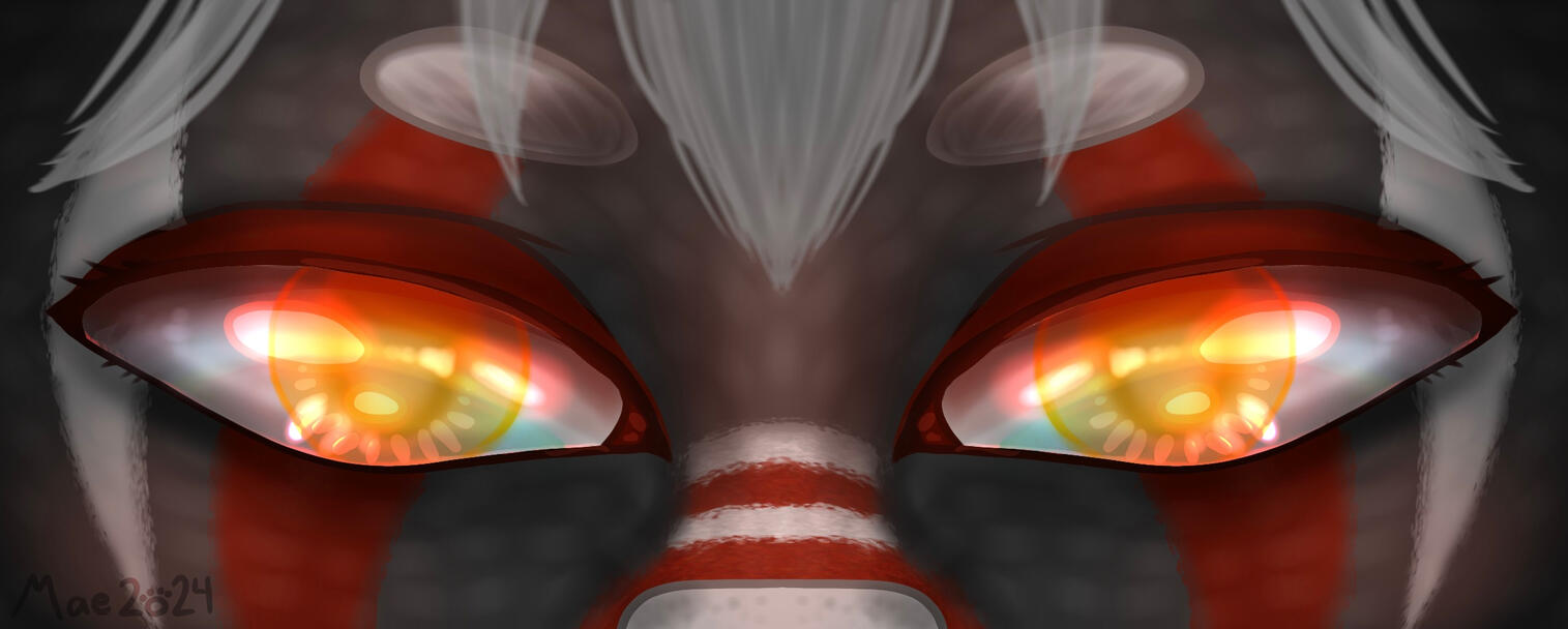 Sebastian Eye Banner