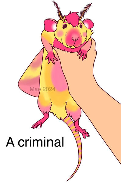 Lepi the Rat Meme