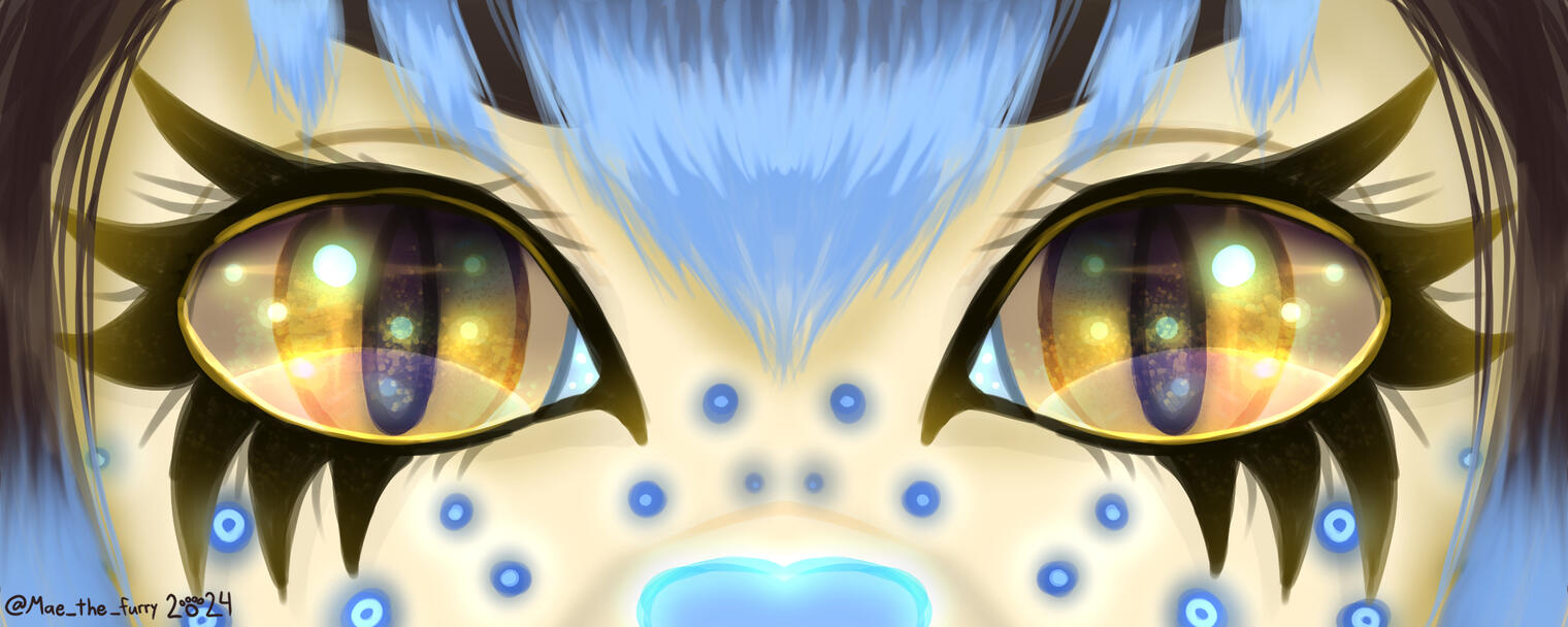 Marina Eye Banner