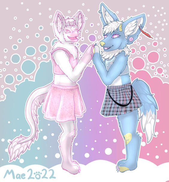 Candy Meeting Fern